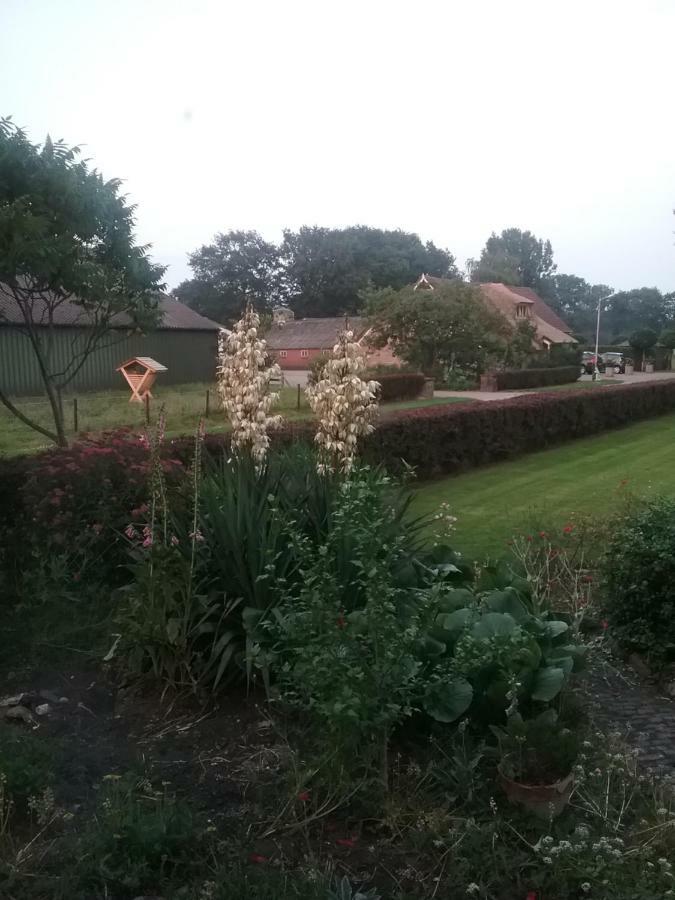 B&B An de Kraloërweg Ruinen Exterior foto